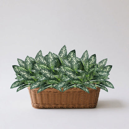 12PCS Artificial Tropical Leaves 13" Faux Monstera, Persian Caladium & Alocasia Plants Real Touch Greenery for Home Decor, DIY Centerpieces, Indoor Outdoor (12, Leaves-U)