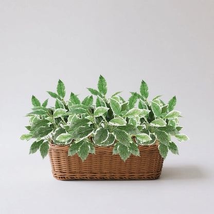 12PCS Artificial Tropical Leaves 13" Faux Monstera, Persian Caladium & Alocasia Plants Real Touch Greenery for Home Decor, DIY Centerpieces, Indoor Outdoor (12, Leaves-U)