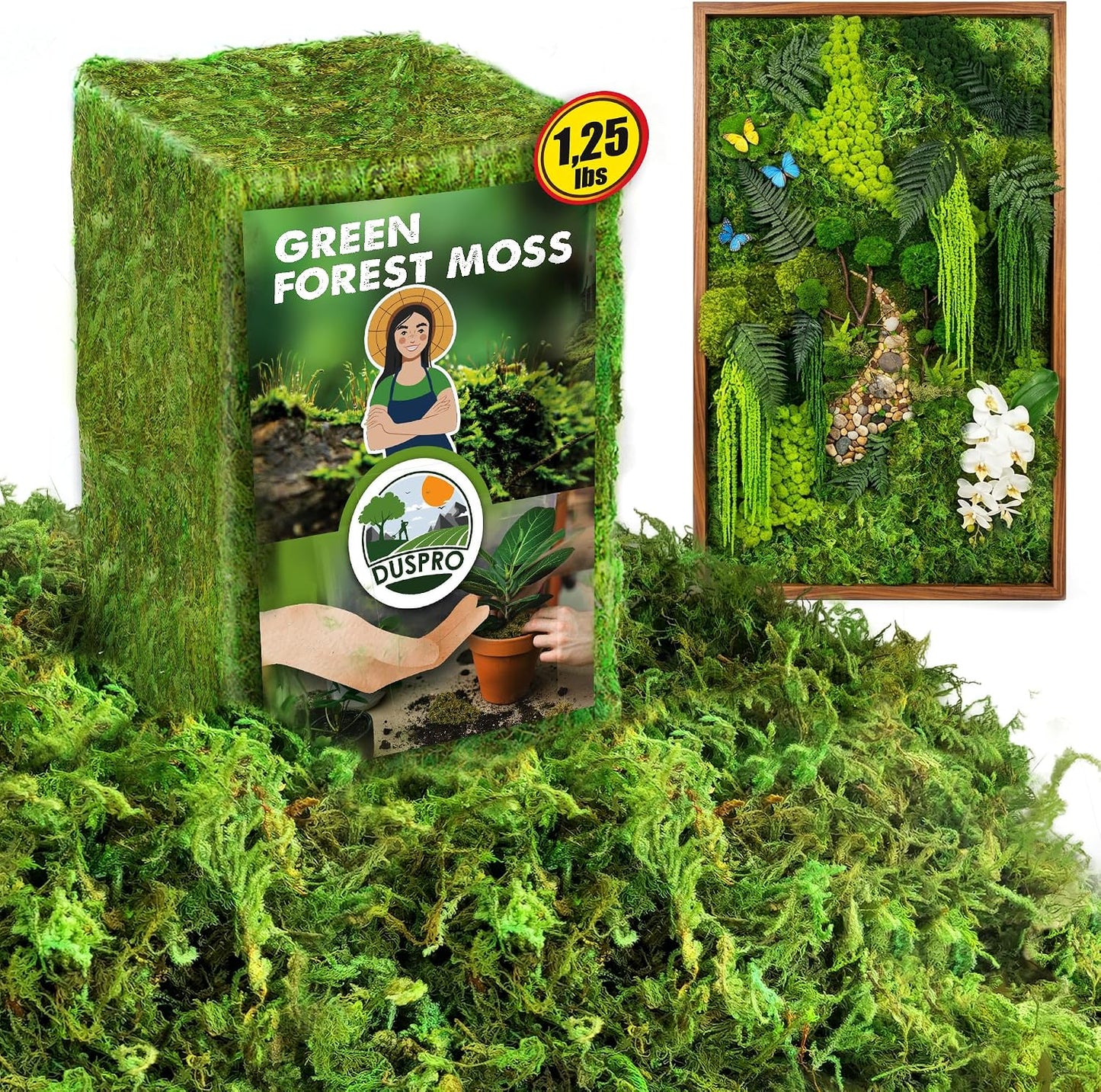 Green Forest Moss for Crafts, Real Dried Decorative Moss, 2 oz | Indoor Planter Soil Cover, Table Centerpieces, Wedding, Easter & Christmas Decor, DIY Projects