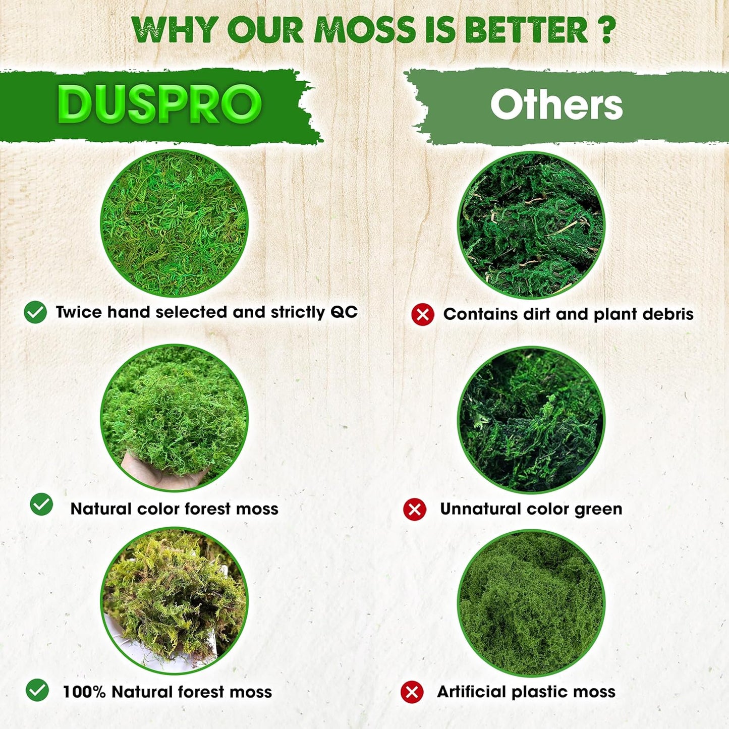 Green Forest Moss for Crafts, Real Dried Decorative Moss, 2 oz | Indoor Planter Soil Cover, Table Centerpieces, Wedding, Easter & Christmas Decor, DIY Projects