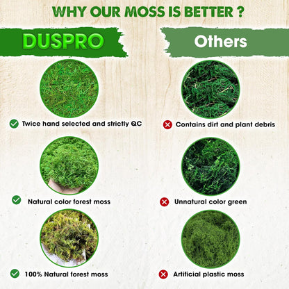 Green Forest Moss for Crafts, Real Dried Decorative Moss, 2 oz | Indoor Planter Soil Cover, Table Centerpieces, Wedding, Easter & Christmas Decor, DIY Projects