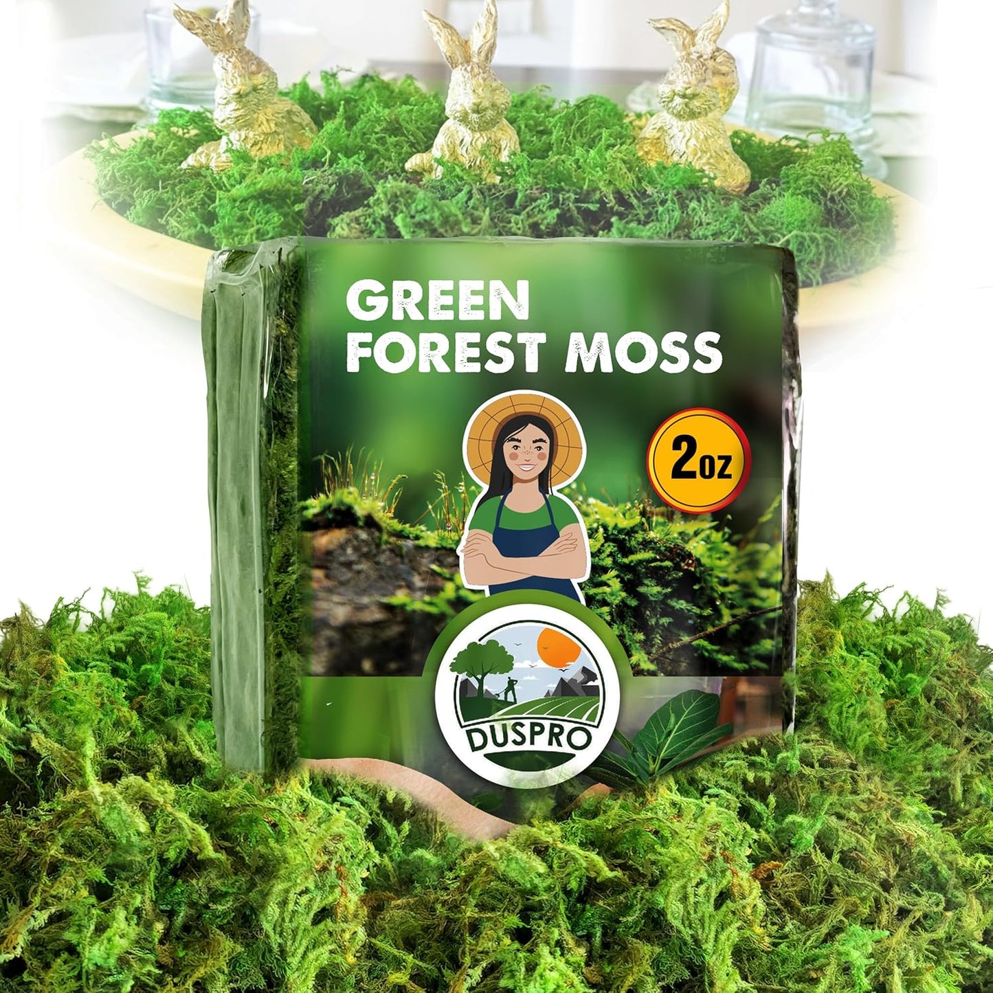 Green Forest Moss for Crafts, Real Dried Decorative Moss, 2 oz | Indoor Planter Soil Cover, Table Centerpieces, Wedding, Easter & Christmas Decor, DIY Projects