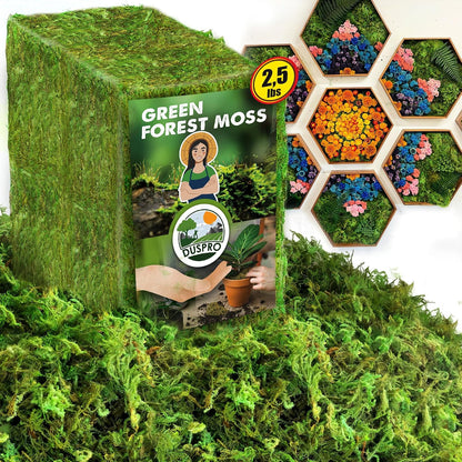 Green Forest Moss for Crafts, Real Dried Decorative Moss, 2 oz | Indoor Planter Soil Cover, Table Centerpieces, Wedding, Easter & Christmas Decor, DIY Projects