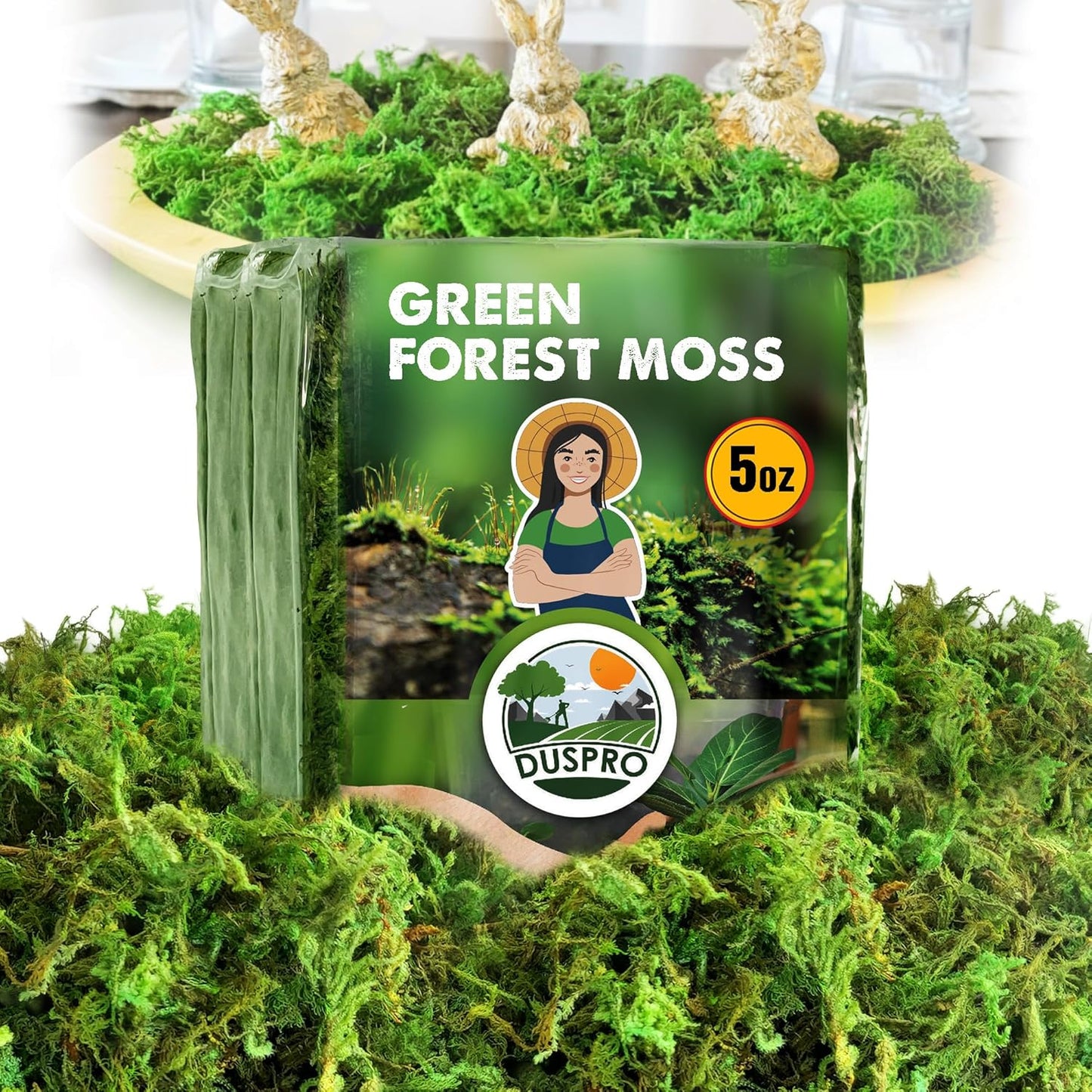 Green Forest Moss for Crafts, Real Dried Decorative Moss, 2 oz | Indoor Planter Soil Cover, Table Centerpieces, Wedding, Easter & Christmas Decor, DIY Projects