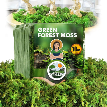 Green Forest Moss for Crafts, Real Dried Decorative Moss, 2 oz | Indoor Planter Soil Cover, Table Centerpieces, Wedding, Easter & Christmas Decor, DIY Projects