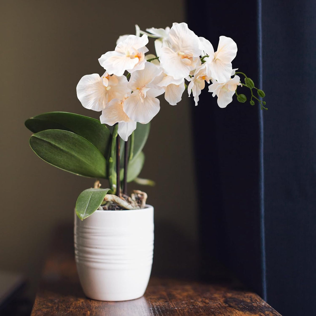6 Pcs Artificial Orchid Stems 33.5" Tall 9 Large Petals Fake White Phalaenopsis Flower Arrangements for Home Wedding Living Room Table Centerpiece Office Table Decor White