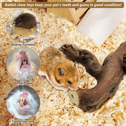 2 PCS Wooden Hamster Climbing Branches 5.9 in Natural Grapevine Syrian Hamster Chewing Toys Small Animal Habitat Decor Accessories for Gerbils Mice Rat and Dwarf Pets