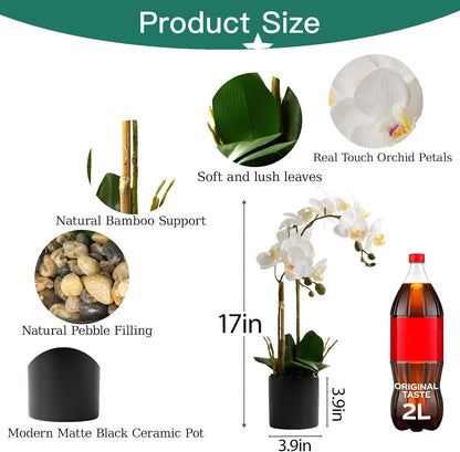 17" Artificial White Phalaenopsis Orchid in Modern Black Ceramic Pot