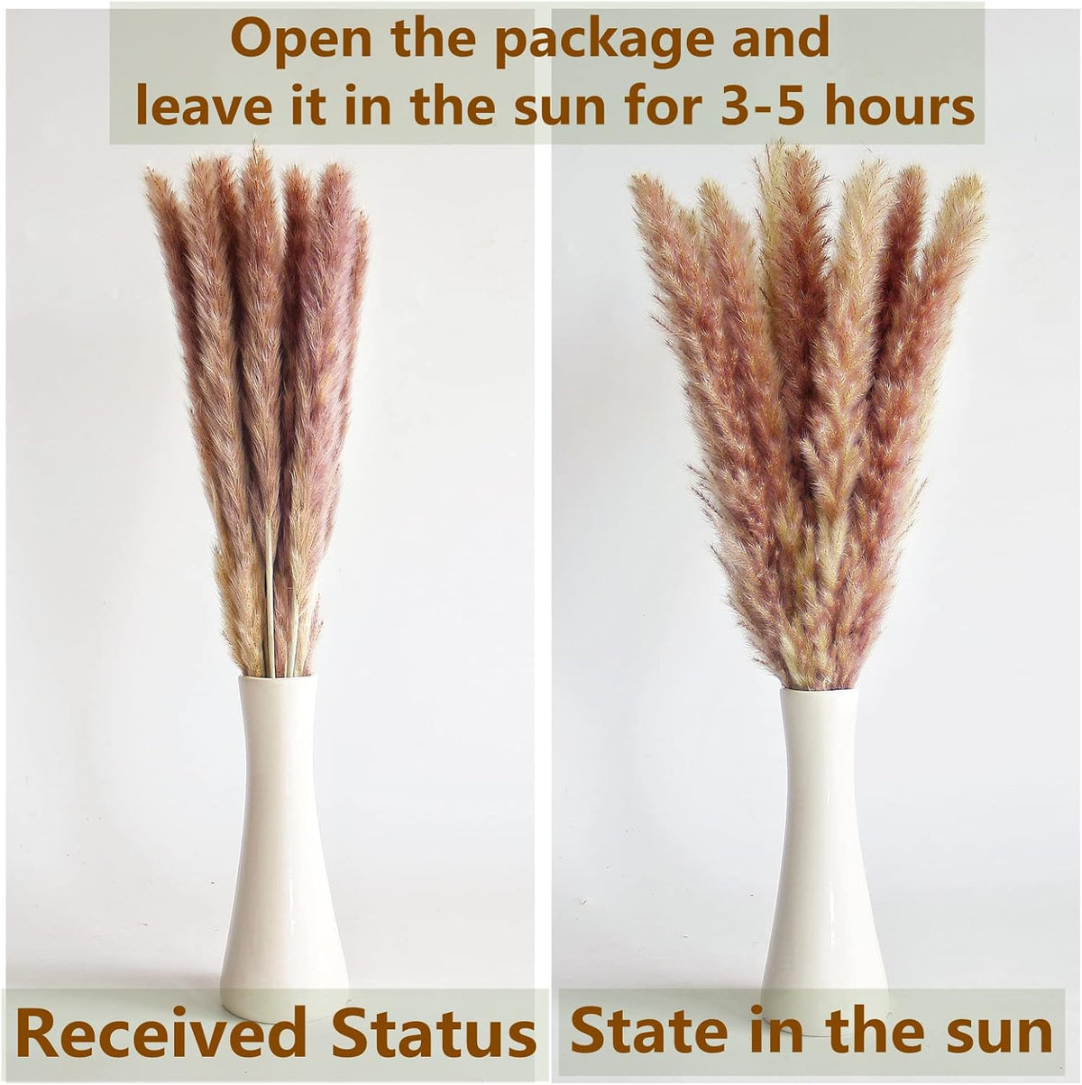 of Boho Pampas Grass Decor, Naturally Dried Pompas, Bunny Tails Dried Flowers, and dried eucalyptus. Perfect for Weddings, Boho Party Decorations, and Table Decor.