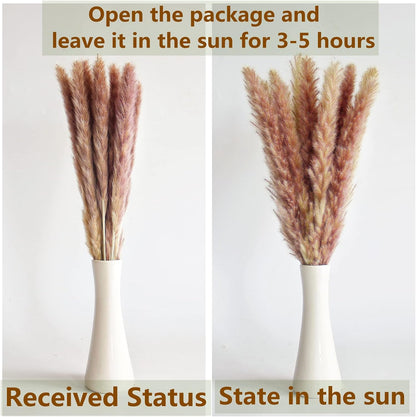 of Boho Pampas Grass Decor, Naturally Dried Pompas, Bunny Tails Dried Flowers, and dried eucalyptus. Perfect for Weddings, Boho Party Decorations, and Table Decor.