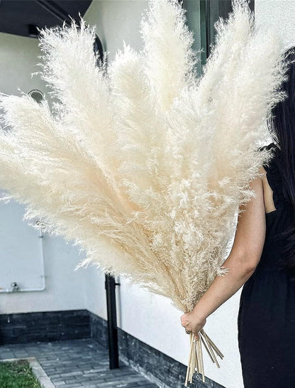 of Boho Pampas Grass Decor, Naturally Dried Pompas, Bunny Tails Dried Flowers, and dried eucalyptus. Perfect for Weddings, Boho Party Decorations, and Table Decor.