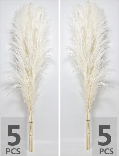 of Boho Pampas Grass Decor, Naturally Dried Pompas, Bunny Tails Dried Flowers, and dried eucalyptus. Perfect for Weddings, Boho Party Decorations, and Table Decor.
