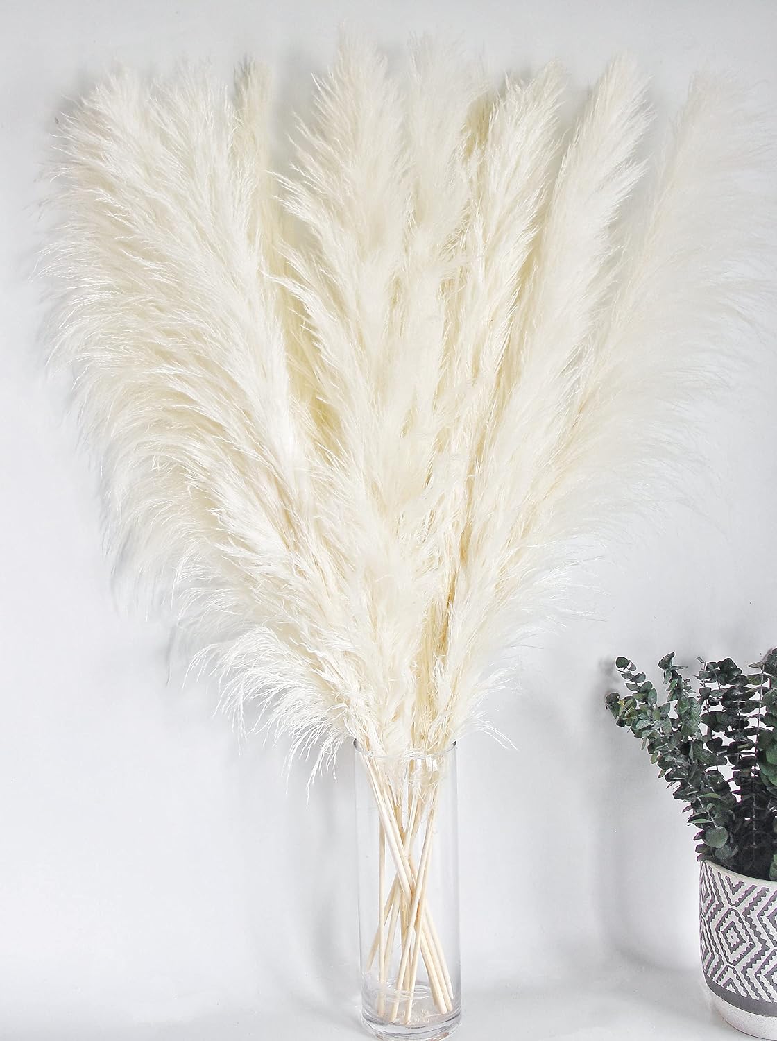 of Boho Pampas Grass Decor, Naturally Dried Pompas, Bunny Tails Dried Flowers, and dried eucalyptus. Perfect for Weddings, Boho Party Decorations, and Table Decor.