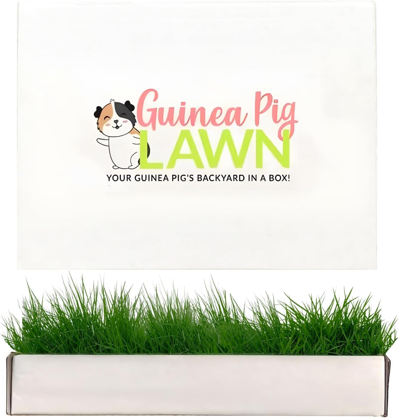 Guinea Pig Fresh Grass Lounging Mat - Real Living Grass for Small Pets - Natural Enrichment for Guinea Pigs, Hamsters, Small Animals - Indoor/Outdoor Disposable 12x9 Inch