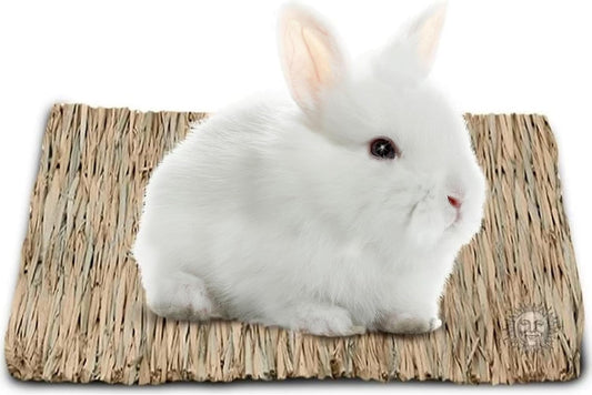 Rabbit Grass Mat, Bunny Cage Accessories, Rabbit Stuff and Supplies, Handmade, Edible Accessory Chew, Keep in Cage or on Floor, 1 pc