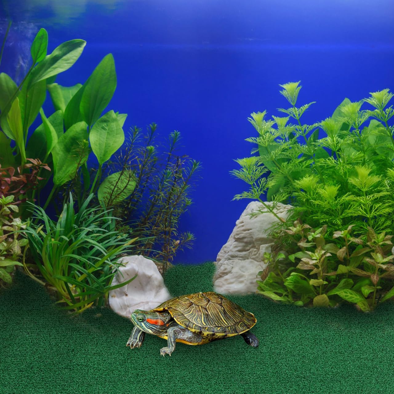 Realistic Grass Mat for Turtle Basking Platform Durable Artificial Turf for Aquatic Terrariums Lightweight Lawn Carpet for Reptile Ramps and Fish Tanks, 39.3X19.6in