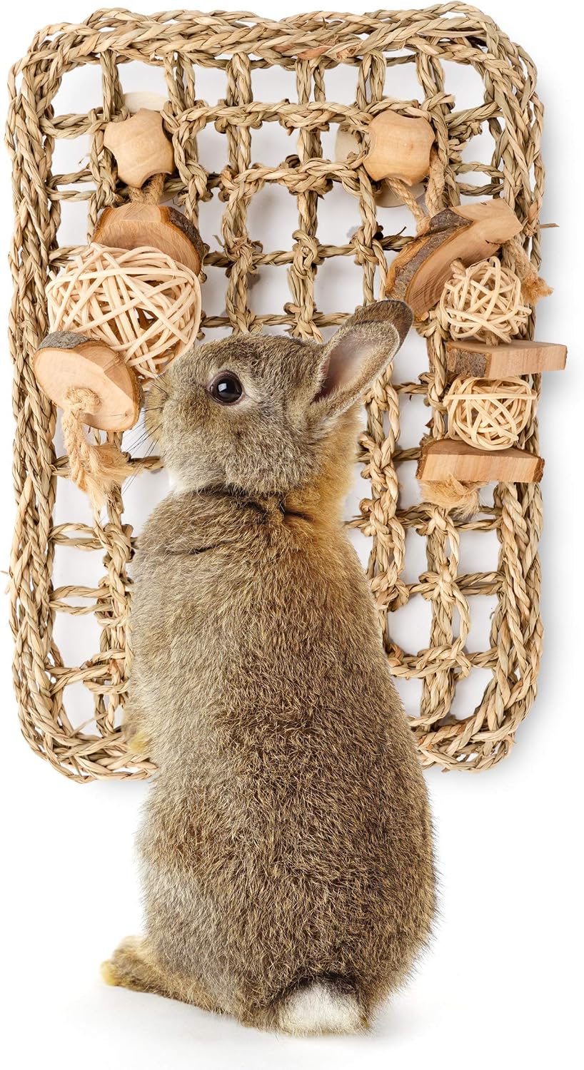 Rabbit Seagrass Protector Mat with Toys (11 X 7.87-inch)