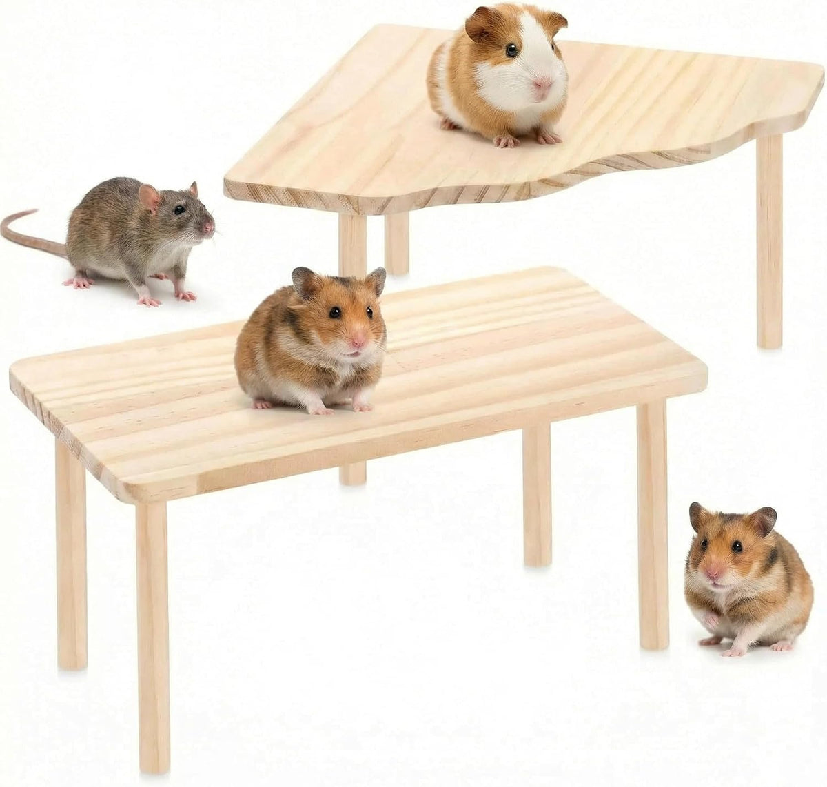 Hamster Platforms Wooden Ladder Bendy Bridge Fence Hidden Play House
