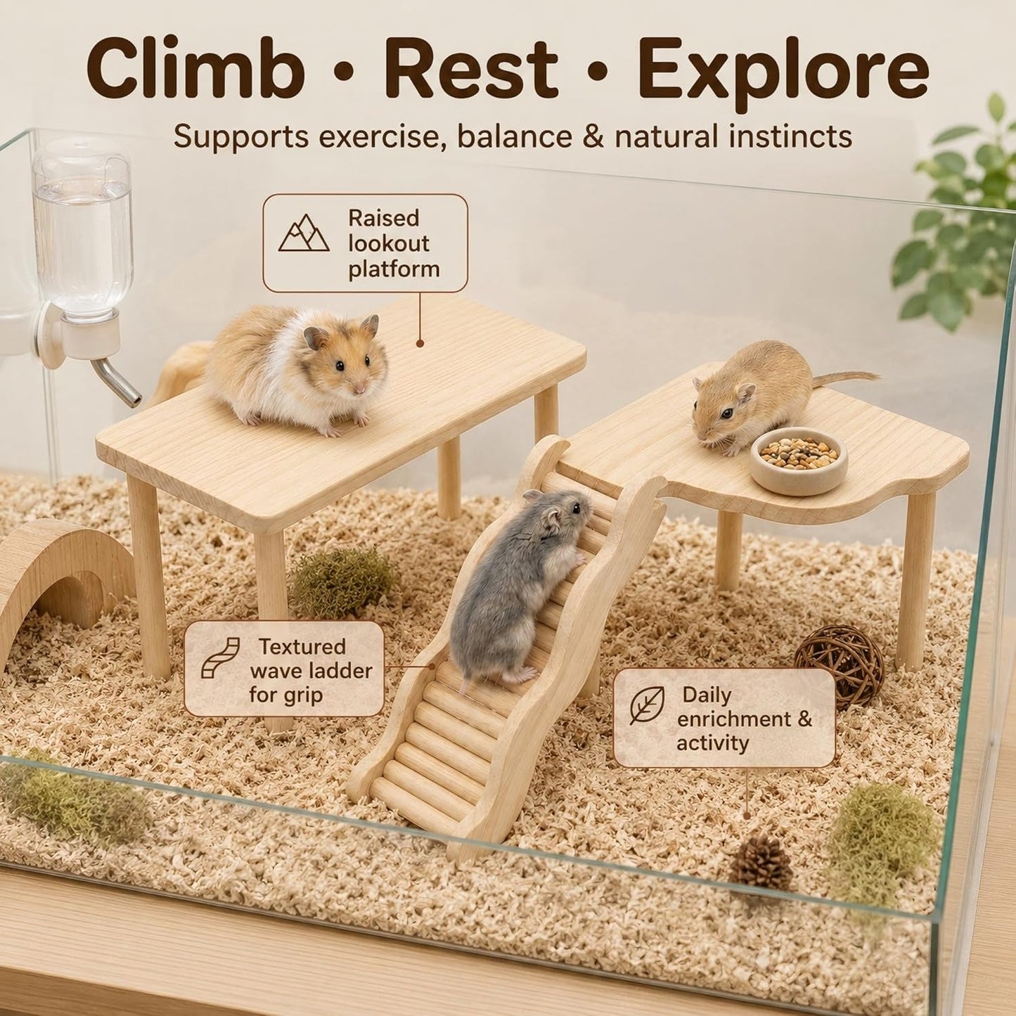 3-Piece Hamster Wood Platform Set with Tunnel Hideout, Natural Cage Accessories with Hides, Food & Water Stations, Climbing & Burrowing for Dwarf, Syrian Hamsters, Mice & Gerbils