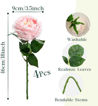4 Pcs Real Touch Peonies Artificial Flowers, 3.5'' Big Bloom Austin Rose Peony Latex Fake Flower with Stems for Wedding Bouquet Party Valentines Arrangement Home Kitchen (Champagne)