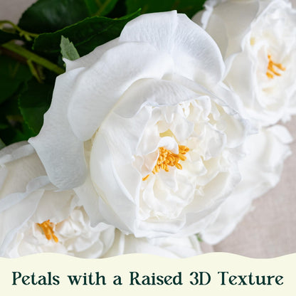 4 Pcs Real Touch Peonies Artificial Flowers, 3.5'' Big Bloom Austin Rose Peony Latex Fake Flower with Stems for Wedding Bouquet Party Valentines Arrangement Home Kitchen (Champagne)