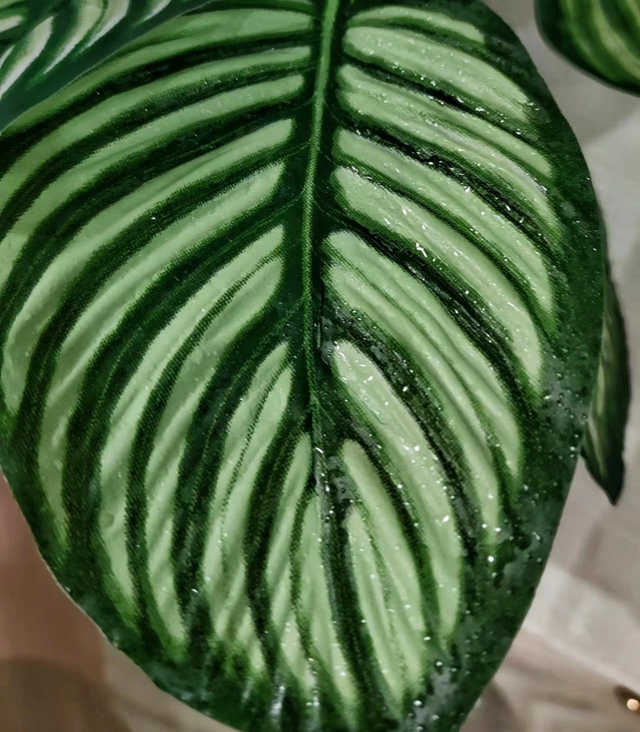 Reptile Terrarium Decor Plants,Amphibian Habitat Decor,Artificial Plants for Tank Accessories (Calathea makoyana -B)