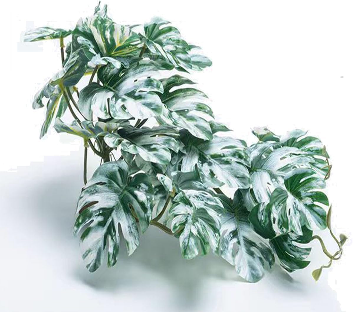 Reptile Terrarium Decor Plants,Amphibian Habitat Decor,Artificial Plants for Tank Accessories (Calathea makoyana -B)