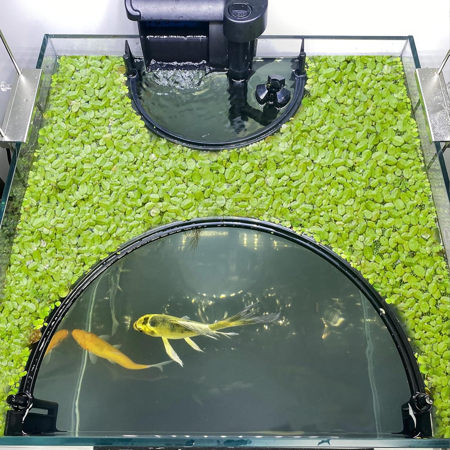 Floating Plant Corral for Aquarium, Fish Tank Accessories to Separate Floating Plants, Automatically Adjusts Height with Water Level, Suitable for All Floating Plants and All Aquariums (Style 1)