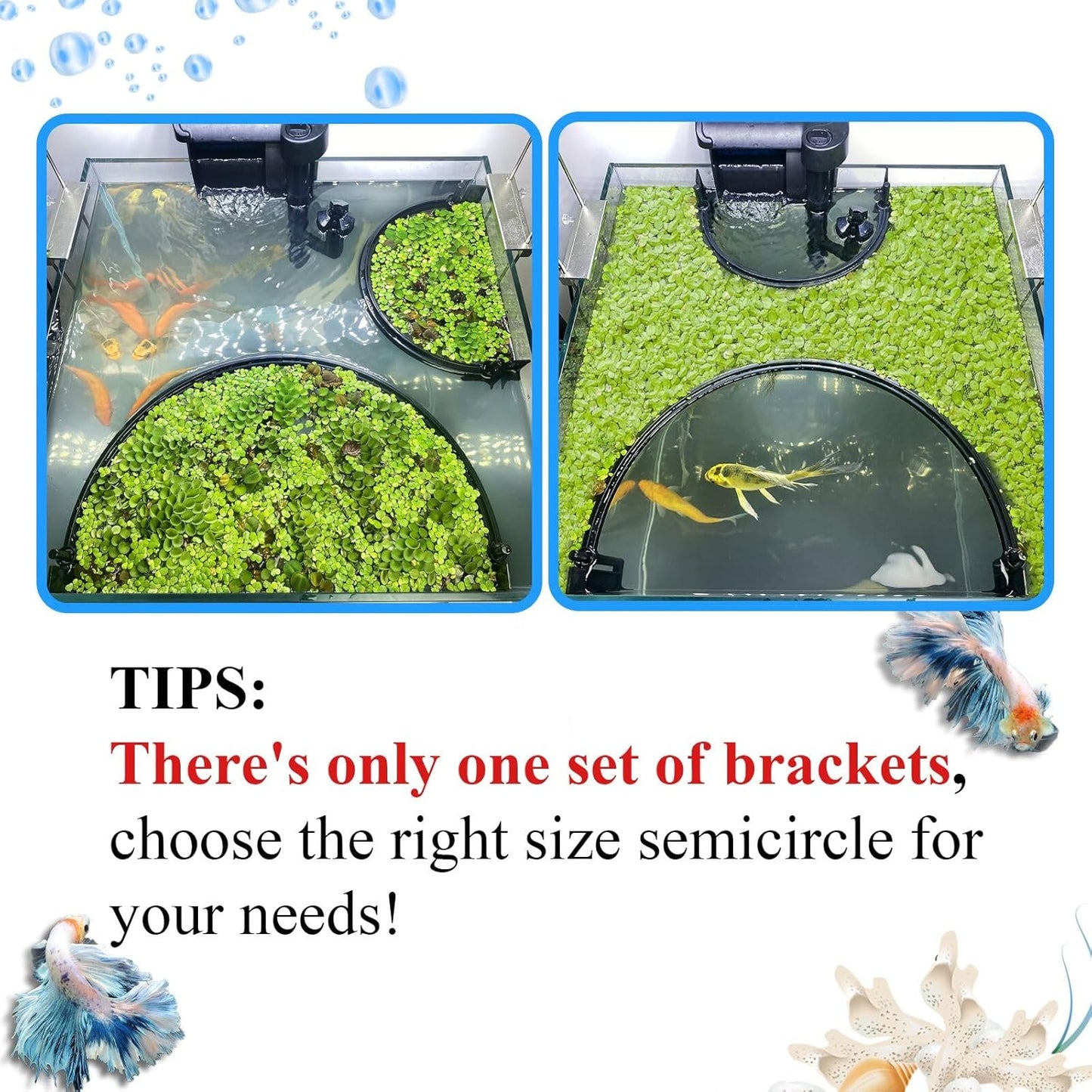 Floating Plant Corral for Aquarium, Fish Tank Accessories to Separate Floating Plants, Automatically Adjusts Height with Water Level, Suitable for All Floating Plants and All Aquariums (Style 1)