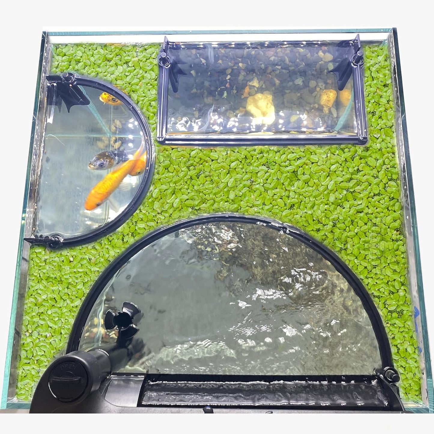 Floating Plant Corral for Aquarium, Fish Tank Accessories to Separate Floating Plants, Automatically Adjusts Height with Water Level, Suitable for All Floating Plants and All Aquariums (Style 1)