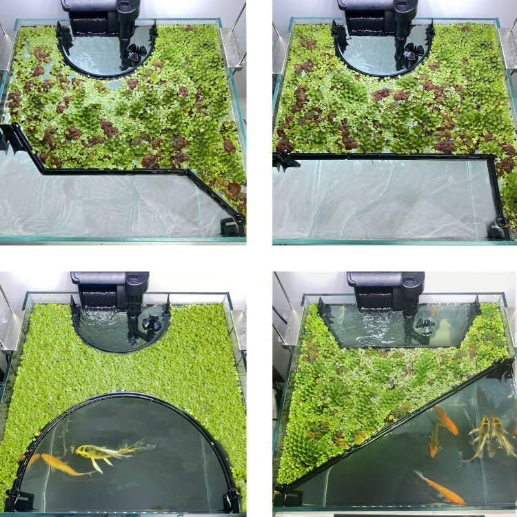 Floating Plant Corral for Aquarium, Fish Tank Accessories to Separate Floating Plants, Automatically Adjusts Height with Water Level, Suitable for All Floating Plants and All Aquariums (Style 1)