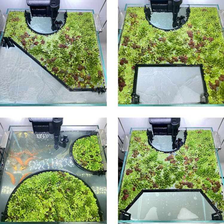 Floating Plant Corral for Aquarium, Fish Tank Accessories to Separate Floating Plants, Automatically Adjusts Height with Water Level, Suitable for All Floating Plants and All Aquariums (Style 1)