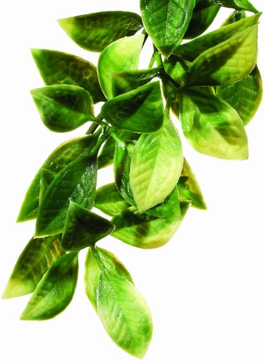 Plastic Terrarium Plant, Small, Mandarin