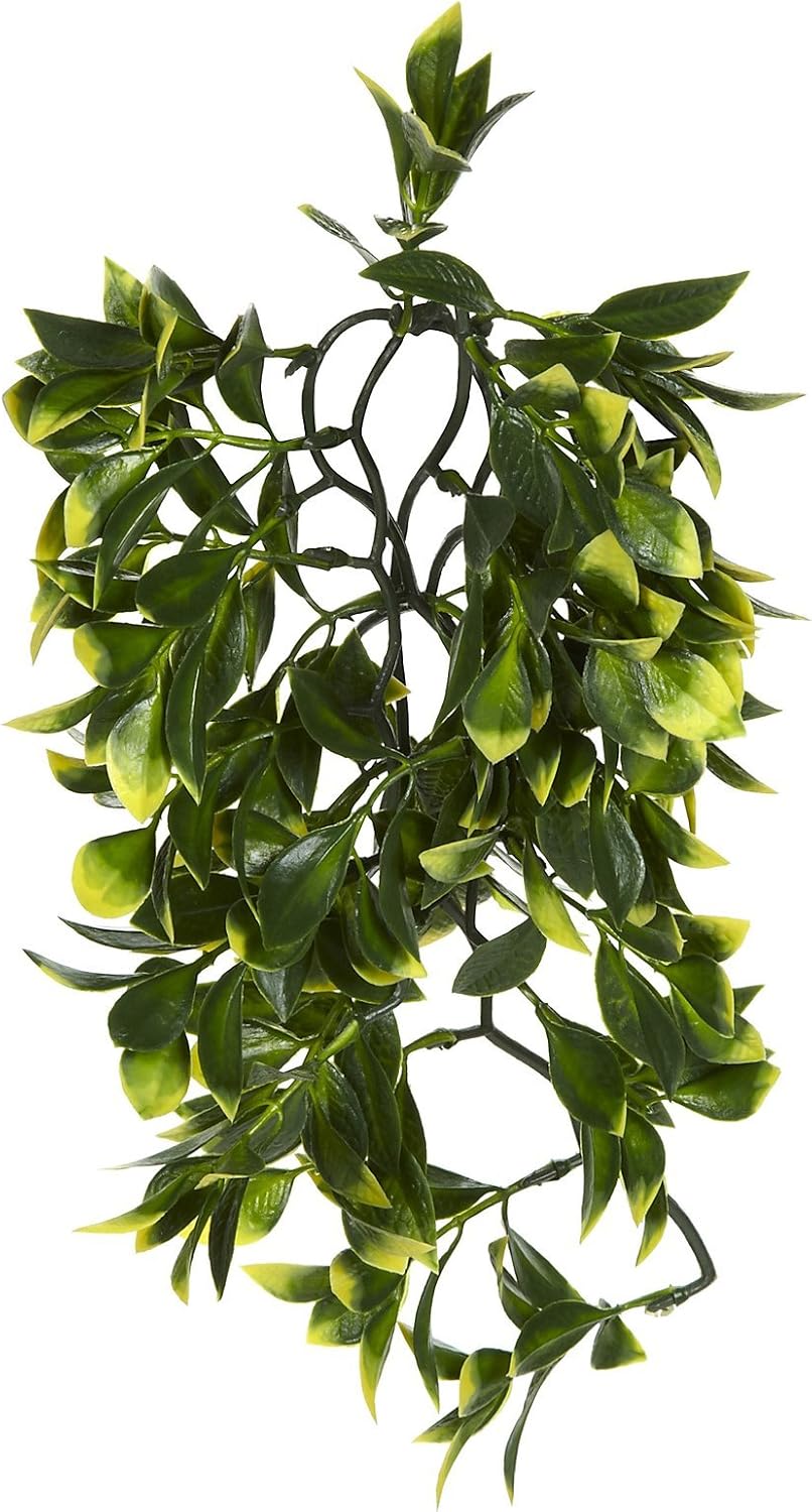 Plastic Terrarium Plant, Small, Mandarin