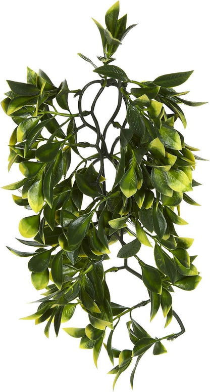 Plastic Terrarium Plant, Small, Mandarin
