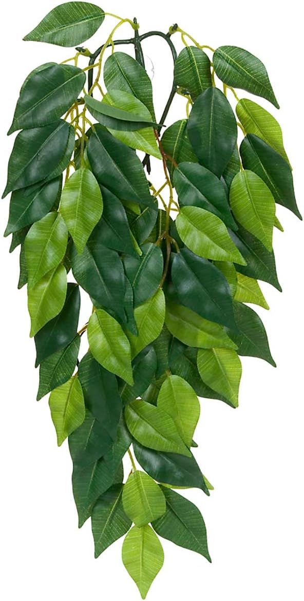 Plastic Terrarium Plant, Small, Mandarin