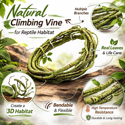 Reptile Vines, Flexible Jungle Climbing Vines Terrarium Plastic Plants and Leaves Tank Accessories Decor for Gecko Snake Lizard Bearded Dragon Hermit Crab Frog