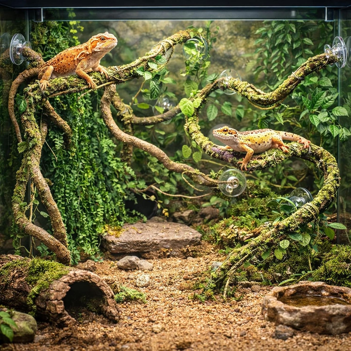 Reptile Vines, Flexible Jungle Climbing Vines Terrarium Plastic Plants and Leaves Tank Accessories Decor for Gecko Snake Lizard Bearded Dragon Hermit Crab Frog