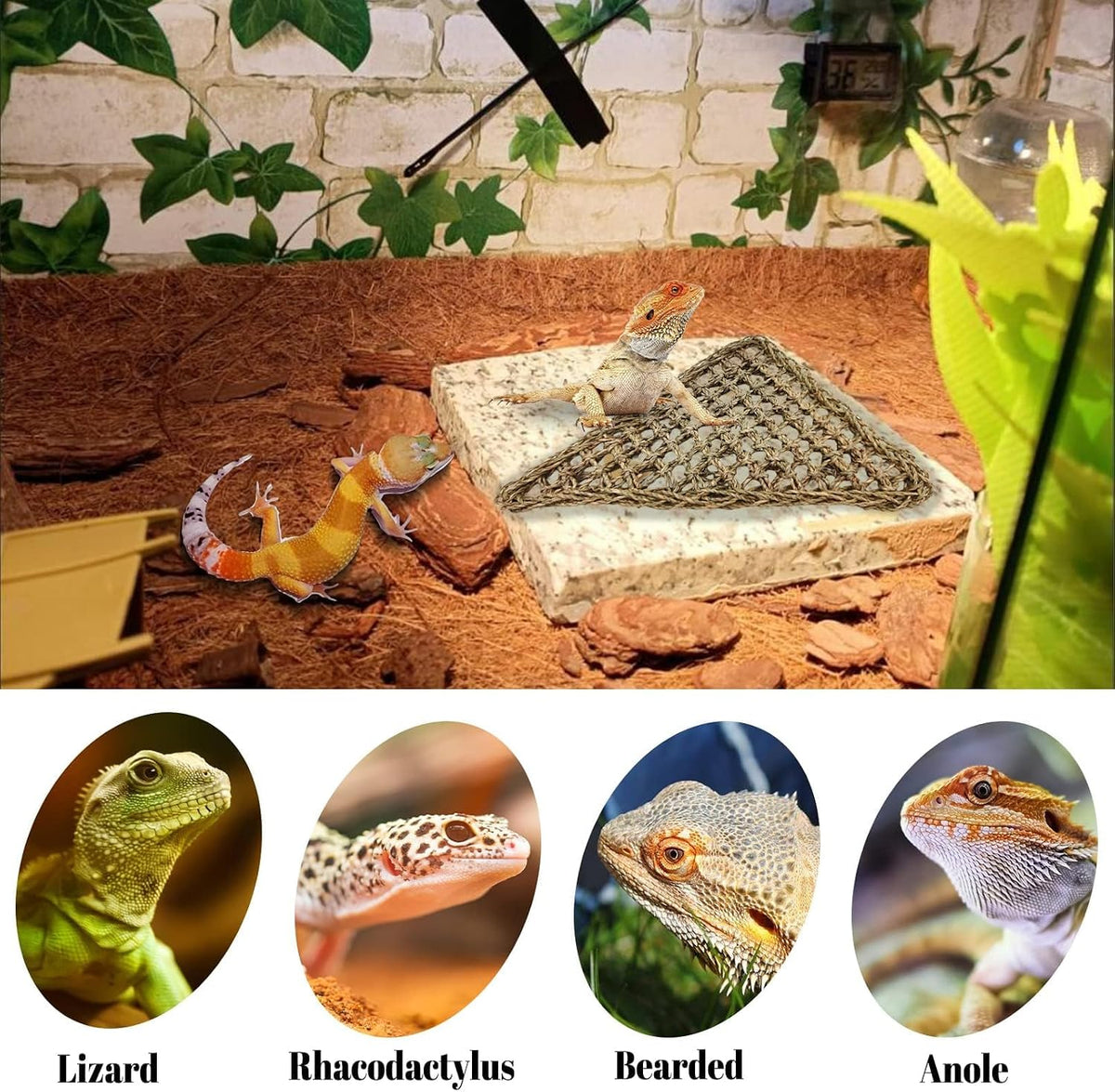 PIVBY Bearded Dragon Hammock, Bearded Dragon Tank Accessories, Flexible Reptile Jungle Vines Terrarium Decor for Chameleon, Lizards, Crested Geckos, Snakes, Lguana, Amphibian Reptiles Habitats
