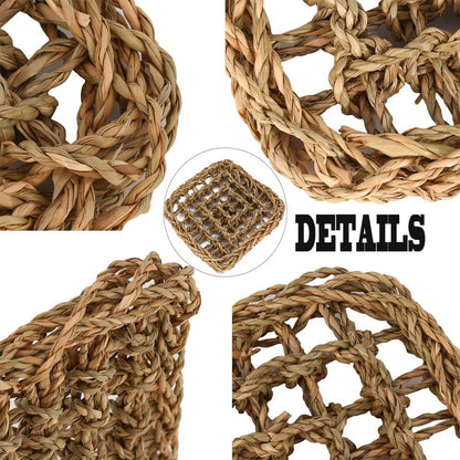PIVBY Bearded Dragon Hammock, Bearded Dragon Tank Accessories, Flexible Reptile Jungle Vines Terrarium Decor for Chameleon, Lizards, Crested Geckos, Snakes, Lguana, Amphibian Reptiles Habitats