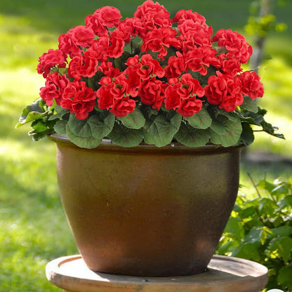 3 Pcs Artificial Geraniums Flowers Silk Geraniums for Outdoors UV Resistant Pink Artificial Geranium Bush Faux Flowers Plant for Planter Garden Home Decor Indoor Patio Vase Table Centerpiece