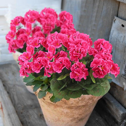 3 Pcs Artificial Geraniums Flowers Silk Geraniums for Outdoors UV Resistant Pink Artificial Geranium Bush Faux Flowers Plant for Planter Garden Home Decor Indoor Patio Vase Table Centerpiece