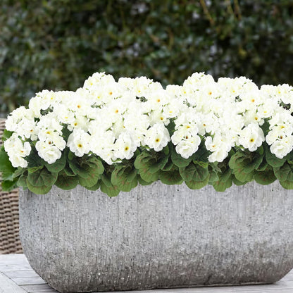 3 Pcs Artificial Geraniums Flowers Silk Geraniums for Outdoors UV Resistant Pink Artificial Geranium Bush Faux Flowers Plant for Planter Garden Home Decor Indoor Patio Vase Table Centerpiece