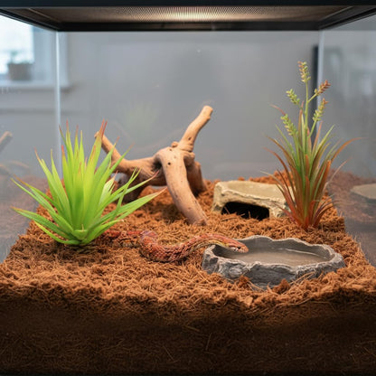 Reptile Terrarium Decor 2-Piece Realistic Succulent Set | Lifelike Plastic Plants, For Geckos, Bearded Dragons, Snakes, Turtles, Lizards, Insects, Reptile Habitats