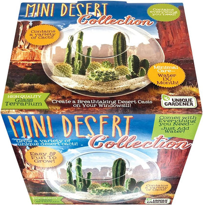 Cactus Succulent Glass Terrarium Starter Kit from - Grow Your Own Indoor Desert Terrariums - Includes Live Cacti Plants and Easy Setup with Complete Terrarium Supplies