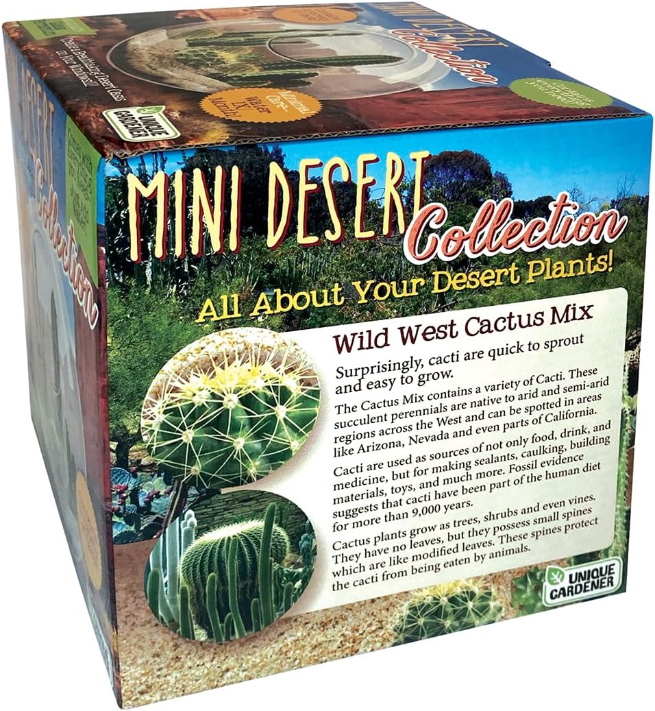 Cactus Succulent Glass Terrarium Starter Kit from - Grow Your Own Indoor Desert Terrariums - Includes Live Cacti Plants and Easy Setup with Complete Terrarium Supplies