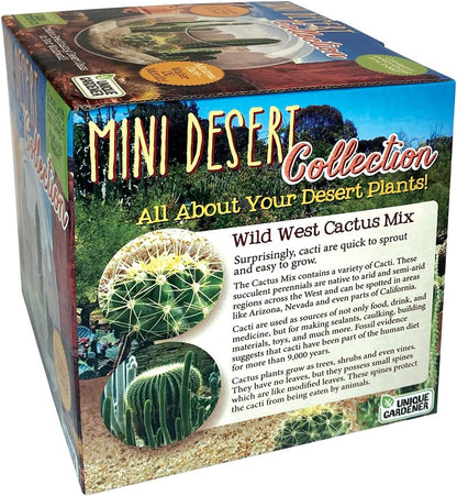 Cactus Succulent Glass Terrarium Starter Kit from - Grow Your Own Indoor Desert Terrariums - Includes Live Cacti Plants and Easy Setup with Complete Terrarium Supplies