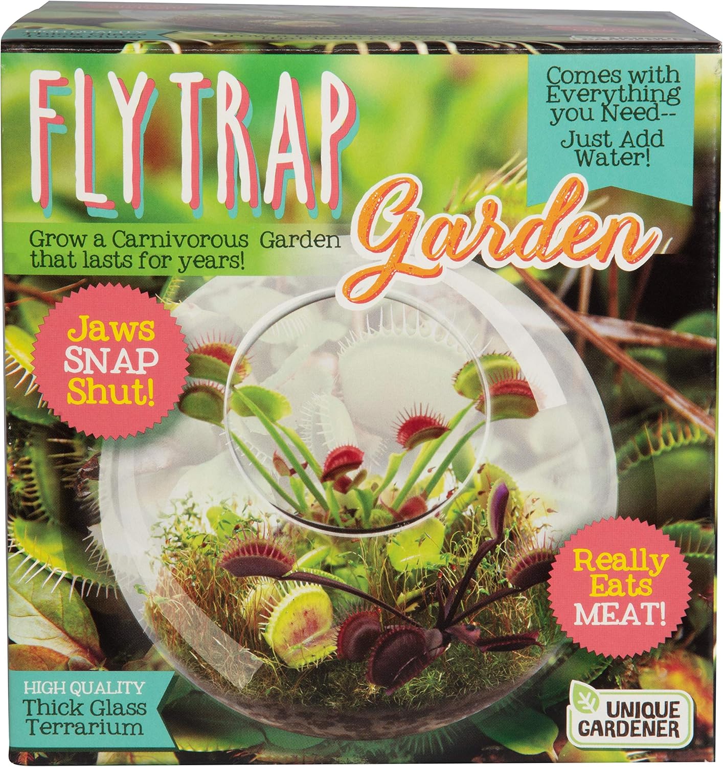 Cactus Succulent Glass Terrarium Starter Kit from - Grow Your Own Indoor Desert Terrariums - Includes Live Cacti Plants and Easy Setup with Complete Terrarium Supplies