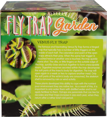 Cactus Succulent Glass Terrarium Starter Kit from - Grow Your Own Indoor Desert Terrariums - Includes Live Cacti Plants and Easy Setup with Complete Terrarium Supplies