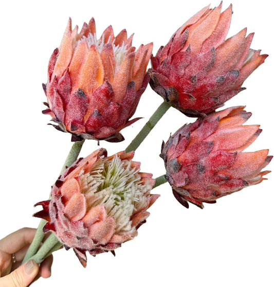 4Pcs Artificial King Protea Flower Faux King Protea Tropical Flowers Stem Fake Cynaroides Floral Arrangements for Wedding Party Centerpiece Home Office Garden Decor